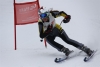 Alpesi sí bajnokság